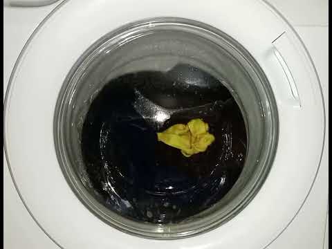 Видео: candy синтетика 