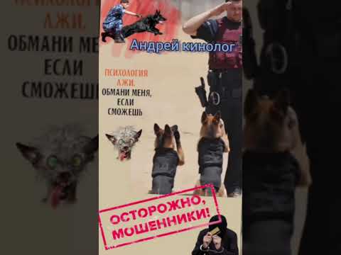 Видео: Звонючки из страны404 