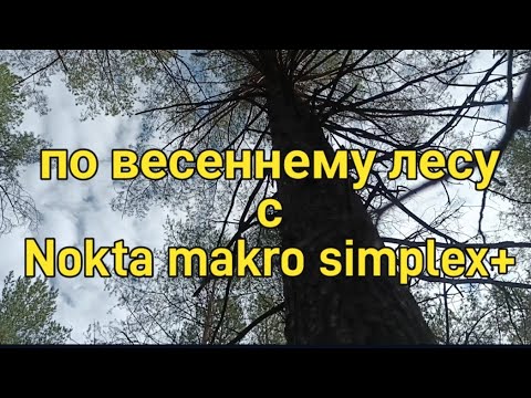 Видео: По весеннему лесу с #Nokta makro simplex plus