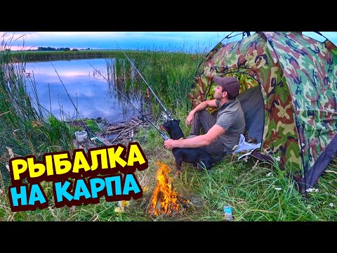 Видео: Рыбалка на Карпа с ночевкой! Жареный карп с картошкой