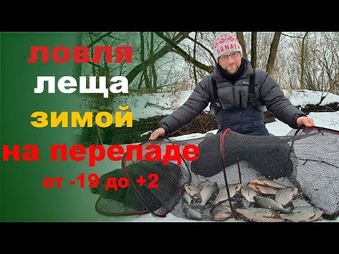 Видео: ловля леща зимой