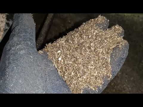 Видео: Отделение личинки черная львинка от субстрата и ее переработка