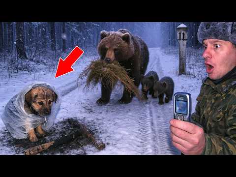 Видео: Щенок СКУЛИЛ от БОЛИ, брошенный на морозе... Но поступок медведицы ШОКИРОВАЛ всех!