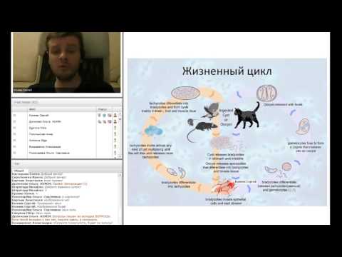 Видео: Зооантропонозные паразитозы. Часть 2.