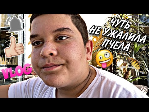 Видео: VLOG: ГУЛЯЕМ ПО ПАРКУ ПРЕЗИДЕНТА,В РЕСТОРАНЕ У ДЯДИ МОИСЕЯ 14.08.20