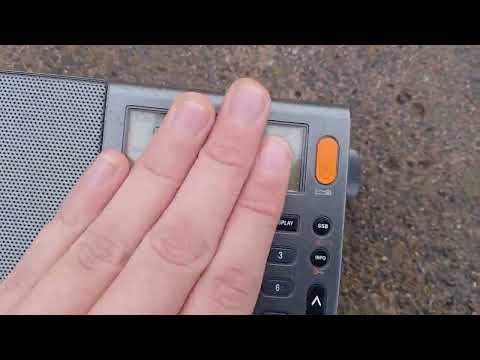 Видео: Радиоприём в с. Берёзовка (29.10.2025)