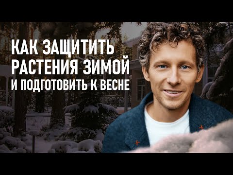 Видео: Сад на сложном участке: как защитить растения зимой и подготовить к весне?
