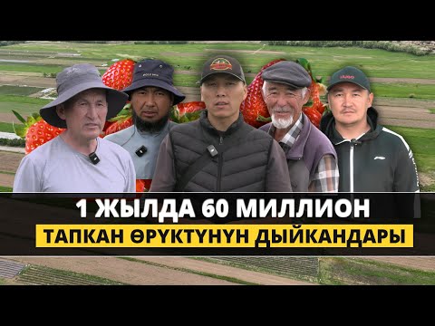 Видео: Бир айылды өнүктүргөн элдин эмгеги