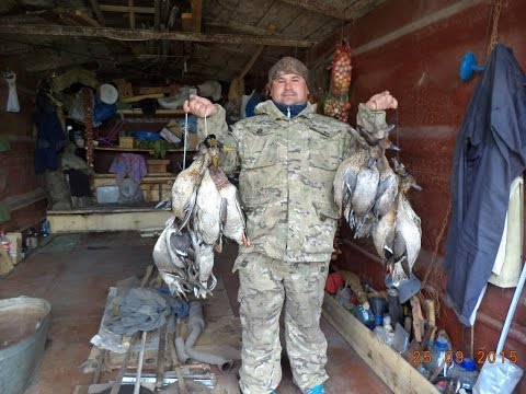 Видео: Тоз 120 12М 1Е