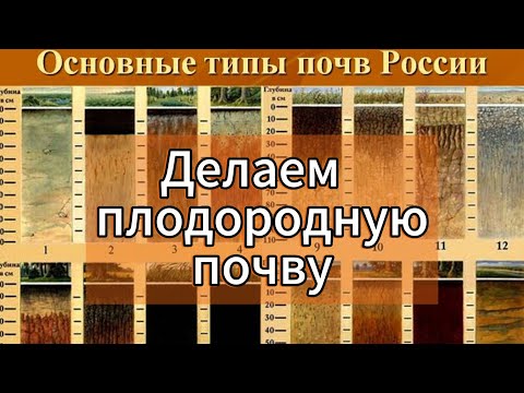 Видео: Как создать плодородную почву быстрее чем в природе.