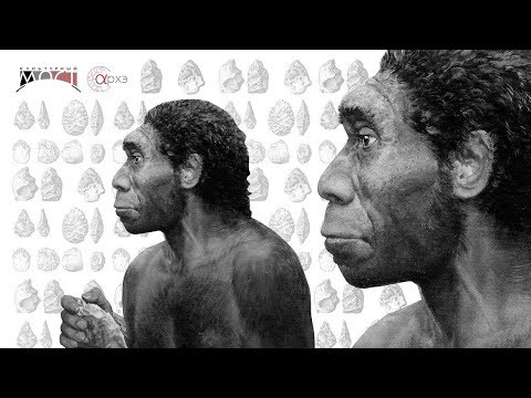 Видео: Елена Беляева: Ашельский период