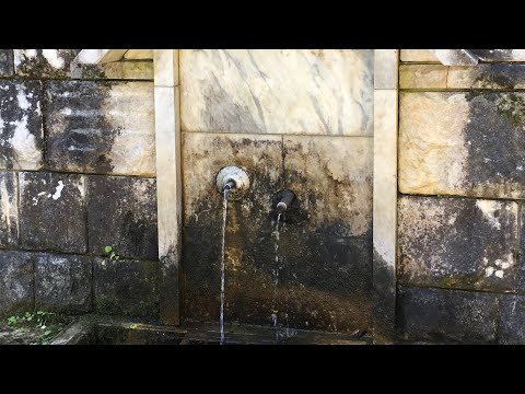 Видео: История за милиарди възраждат в парк