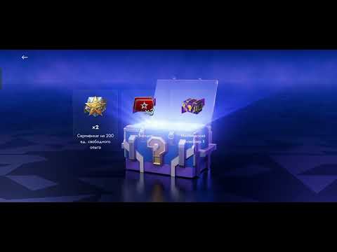 Видео: 5 ноября 2025 г.