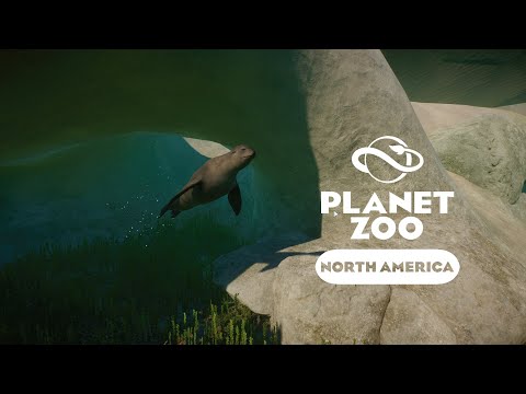 Видео: Planet Zoo: North America - Морской лев