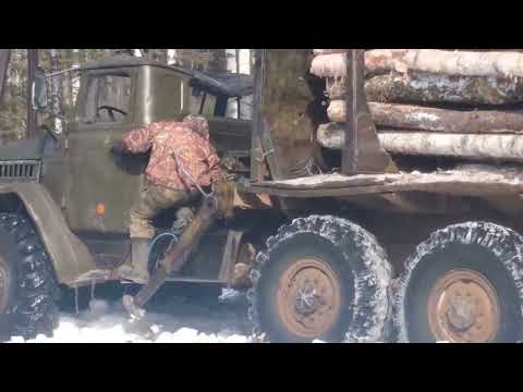 Видео: 13 марта 2022 г.