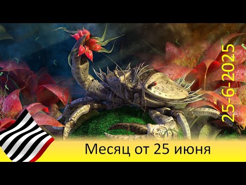 Видео: Прогноз на месяц. От 25 июня 2025