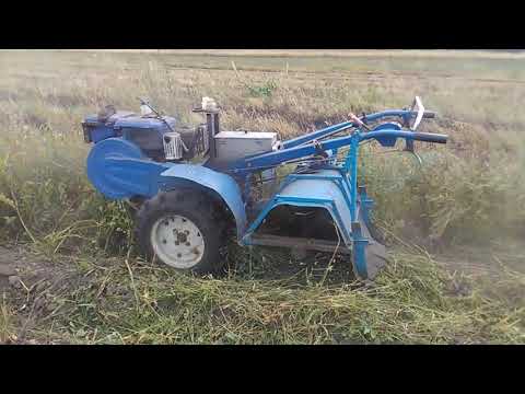 Видео: Мотает ли мульчер траву?