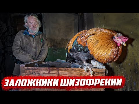 Видео: Шанса выжить нет... | Орловская обл. г. Малоархангельск