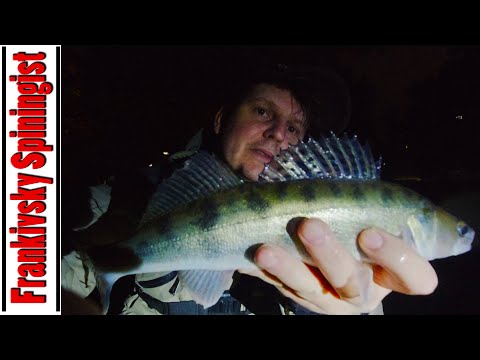 Видео: 🔴 Вечірній судак на Fat Xwist від Wist | Дощ як з відра, а він клює, риболовля на Міському Озері