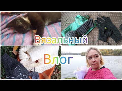 Видео: Вязальный влог 31/24. Продвигаю водолазку, начала 2 новых процесса #vlog #влог #knitting #процессы