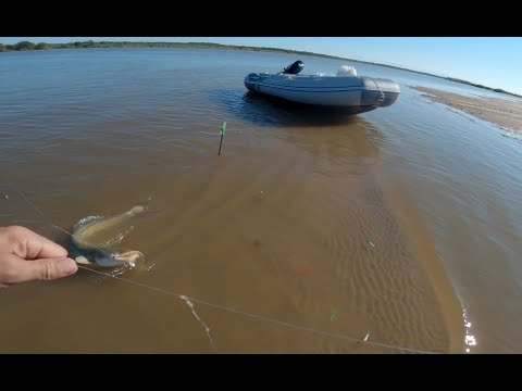 Видео: Обещанная рыбалка на резинку состоялась. (Обкатка  нового мотора.)