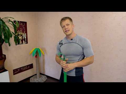 Видео: ТОП 5 УПРАЖНЕНИЙ С РЕЗИНОВЫМИ ПЕТЛЯМИ ОТ ИЛЬИ КАЗЮРЫ | МАГАЗИН WORKOUT-DOMA.RU