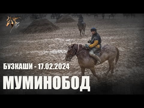 Видео: Бузкаши 17.02.2024  н.Муминобод