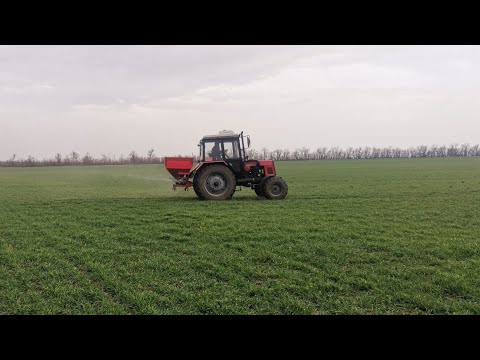 Видео: Подкормка озимого ячменя.
