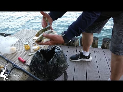 Видео: Крупни охридски мрени — риболов со олово на дно! Охридски рибари #рибарскавистина #риболов #pecanje