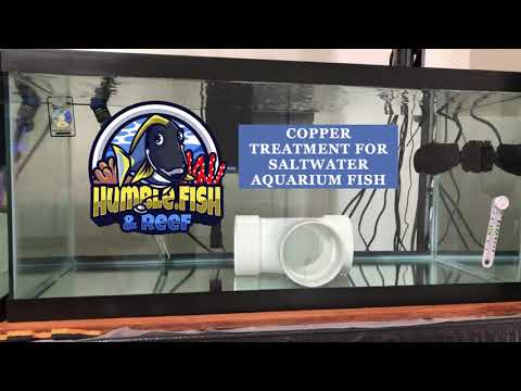 Видео: Обработка меди