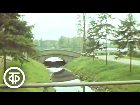 Видео: Осень в парках Пушкина. Время. Эфир 15 октября 1978