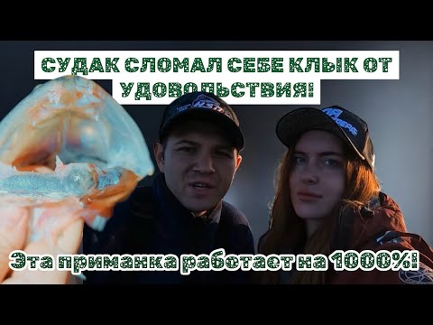 Видео: СУДАК СЛОМАЛ СЕБЕ КЛЫК ОТ УДОВОЛЬСТВИЯ! Эта приманка работают на 1000% 