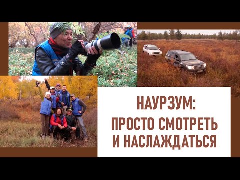 Видео: Наурзум: Тот случай, когда можно просто смотреть и наслаждаться