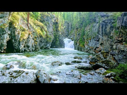 Видео: ТИССА