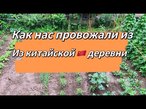 Видео: Прощание с китайской деревней:Традиционные блюда и ужин с рисовым самогоном