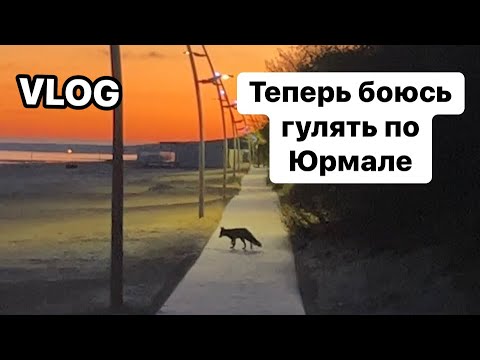 Видео: Большой, осенний Влог из Юрмалы. Много осени, много моря.