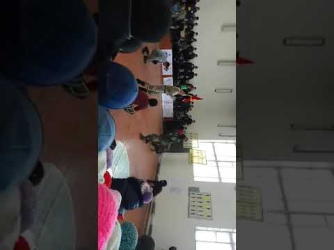 Видео: Сары камыш 2003 Оз онор