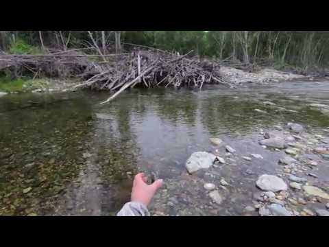 Видео: Рыбалка в Приморье. Река Милоградовка  13 - 15.07.2018 г