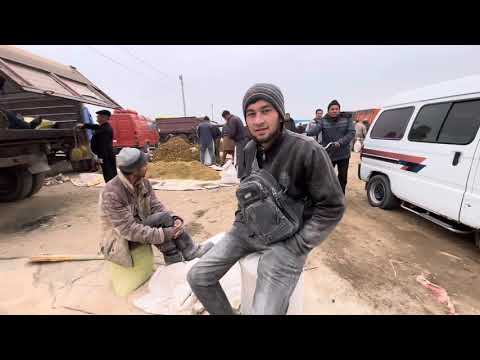 Видео: 16.11.2025👍👍ХОРАЗМ УРГАНЧ ГАЙБУ ЕМ ХАШАК БОЗОРИ ЯНГИ ЕМ НАРХИ АРЗОНЛАДИ 