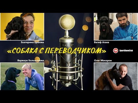 Видео: Стрим #3 / Собака с переводчиком