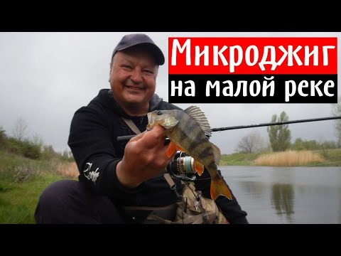 Видео: На что ловить окуня? Микроджиг на малой реке с Crazy Fish Arion 742 ULS