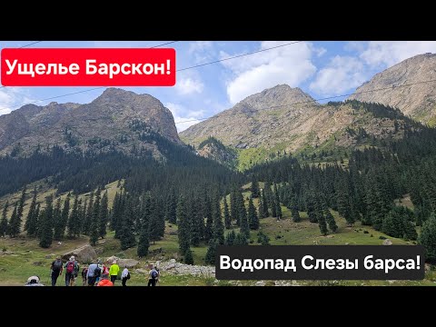 Видео: Кыргызстан!Ущелье Барскон!Поход к водопаду Слезы барса! Песни под гитару у костра!