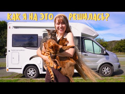 Видео: Мучаюсь в Автодоме с тремя котами