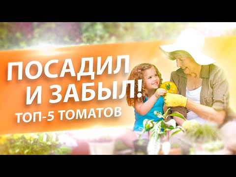 Видео: ТОП-5 ТОМАТОВ ПРОСТЫХ ДЛЯ ВЫРАЩИВАНИЯ