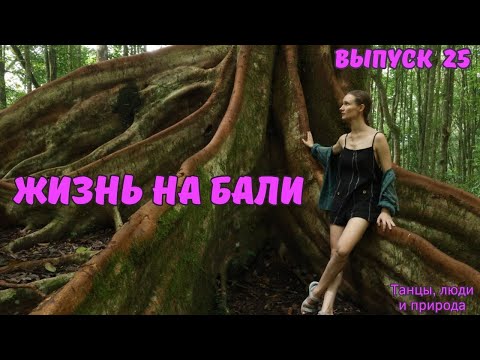 Видео: Танцы, танцы и кафе. Какой дуриан на вкус. Балийский ботанический сад