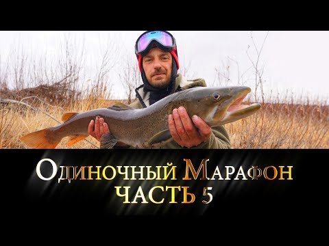 Видео: «Одиночный Марафон», Часть 5 | Рыбалка на виброхвост | mongolia 2017 | Jet Extreme покорители рек