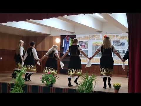 Видео: Копаница за Димитровден в Долна Малина 