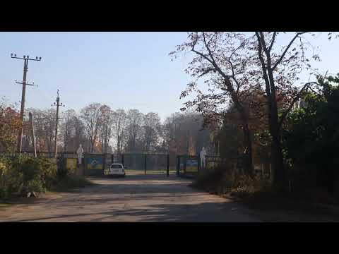 Видео: ОСЕНЬ  КОДЫМА  2019год