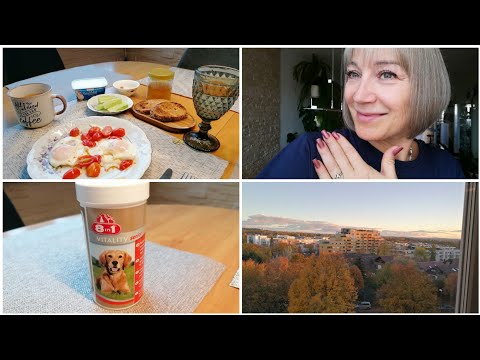 Видео: Vlog🇩🇪🇰🇿витамины для собак/штраф за быструю езду/маникюр/новые темы в школе/10.11.25#влог#осень#еда