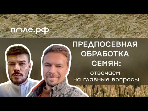 Видео: Предпосевная обработка семян